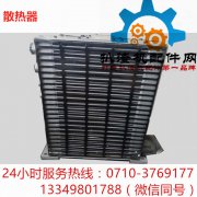散热器(三)