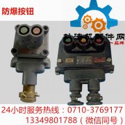 防爆开关按钮